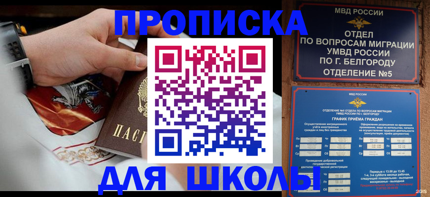 пропишу в квартире в Армавире